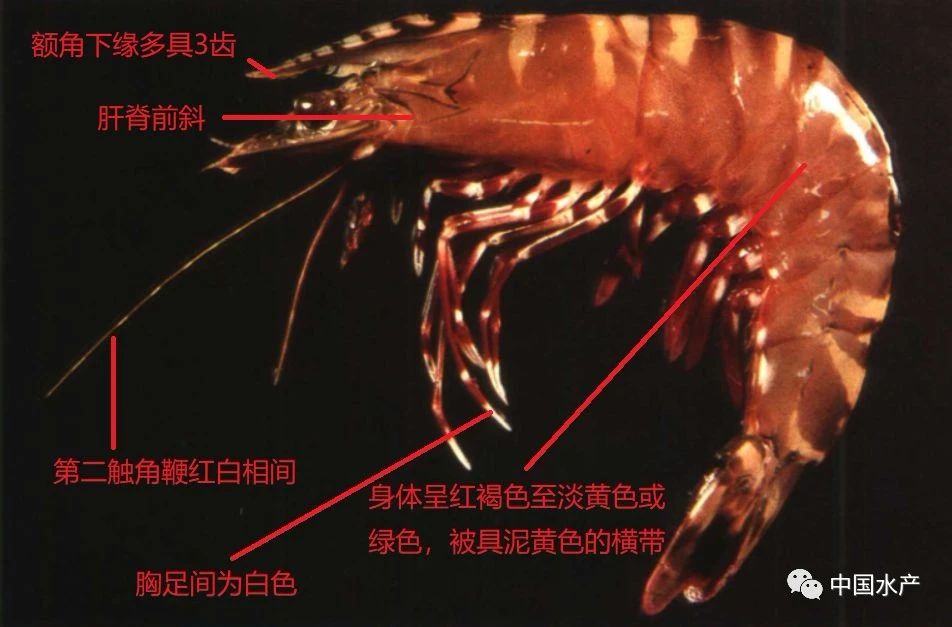 微信图片_20210120104229.jpg