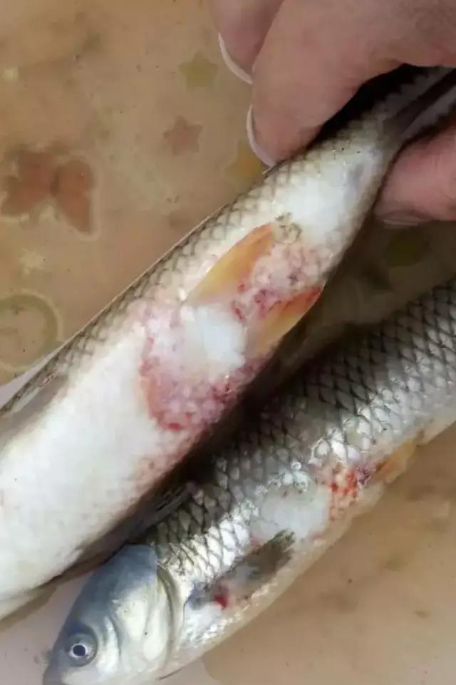 微信图片_20210926104955.jpg