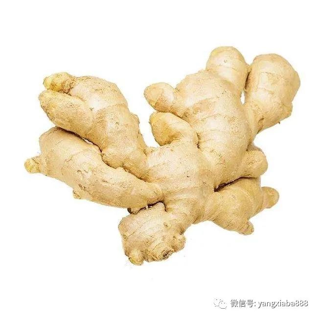 微信图片_20220318103710.jpg