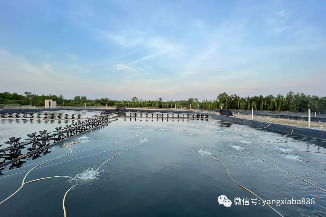 微信图片_20220318104541.jpg