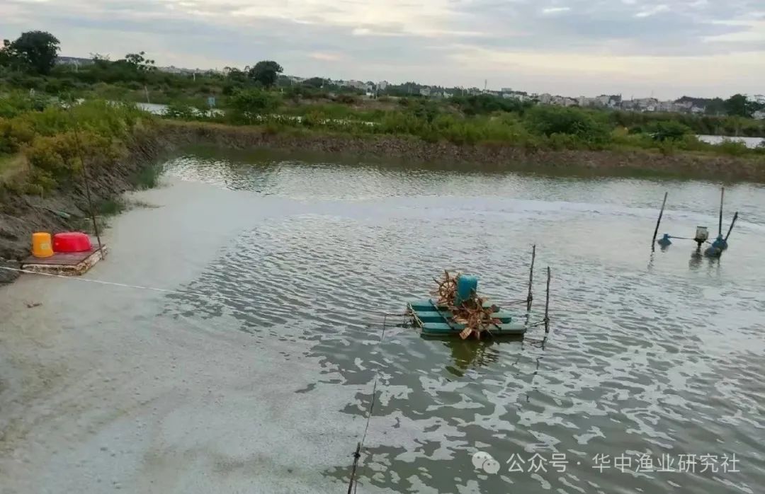 图5.jpg