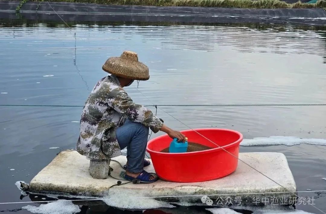 图6.jpg