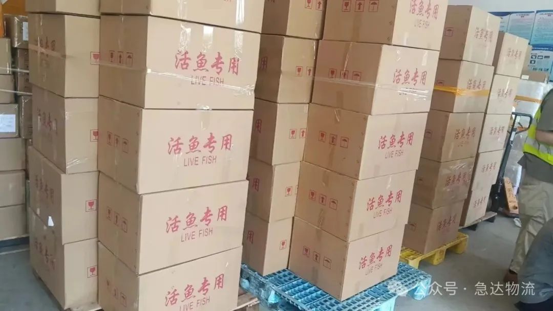图6.jpg