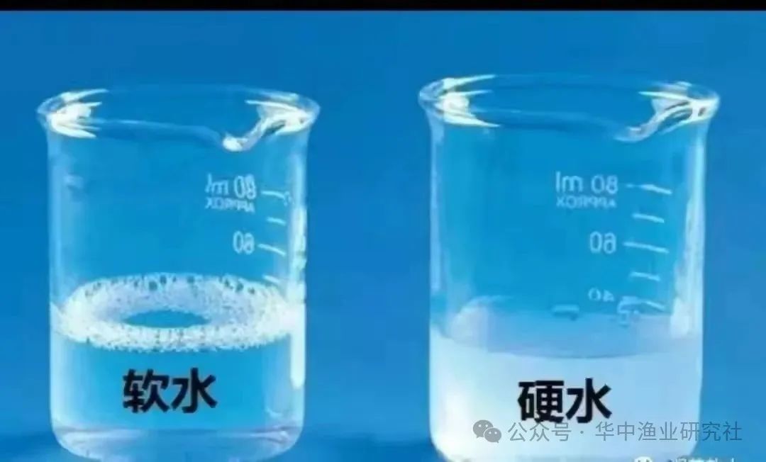 092aab44a3a0484a24a0c822a4213105.jpg