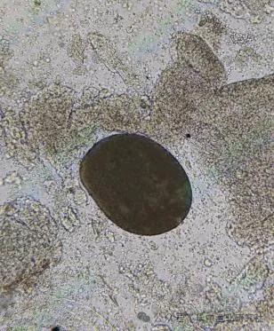 8.png
