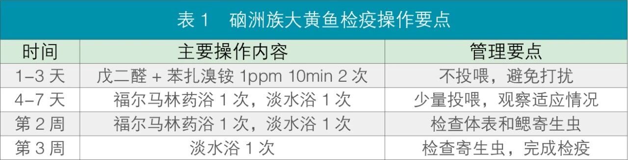 9eeb143ce2ff166303dbfc1dd5cf02e2.jpg