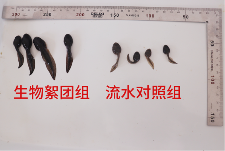 9e069773e162cb14319795cf80d62ed6.png
