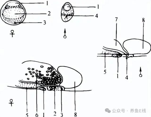 54cc6f07d56d6d113a8746b5b737f09d.jpg