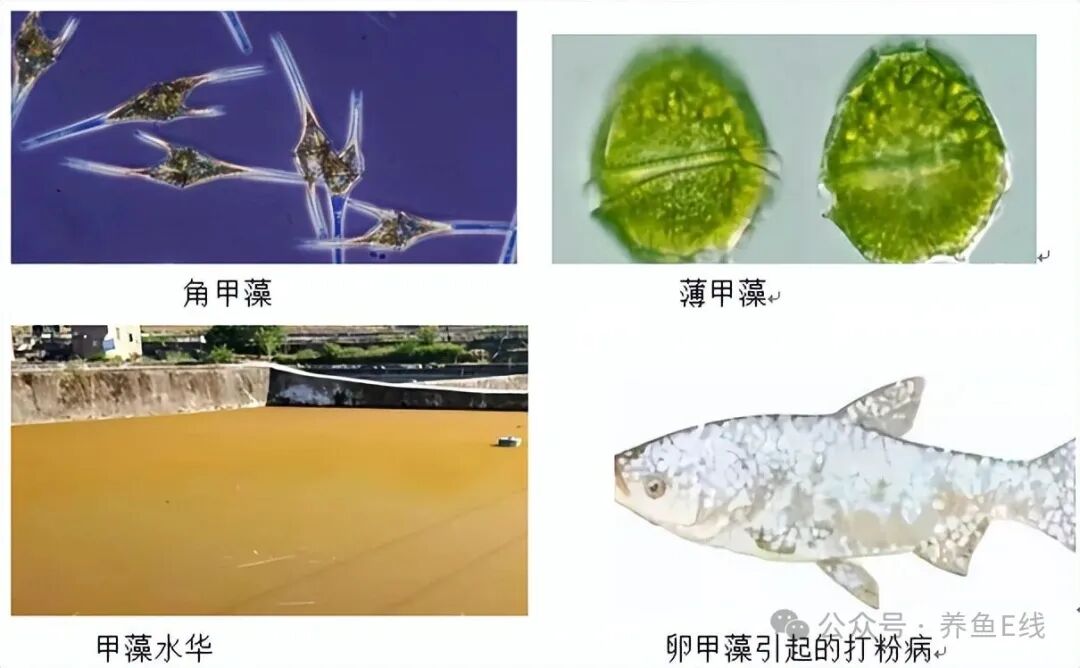 159b7076e4cbea17696ce69369e0420f.jpg