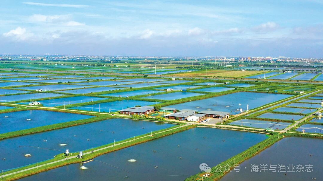 1760928505310115.jpg 1.jpg