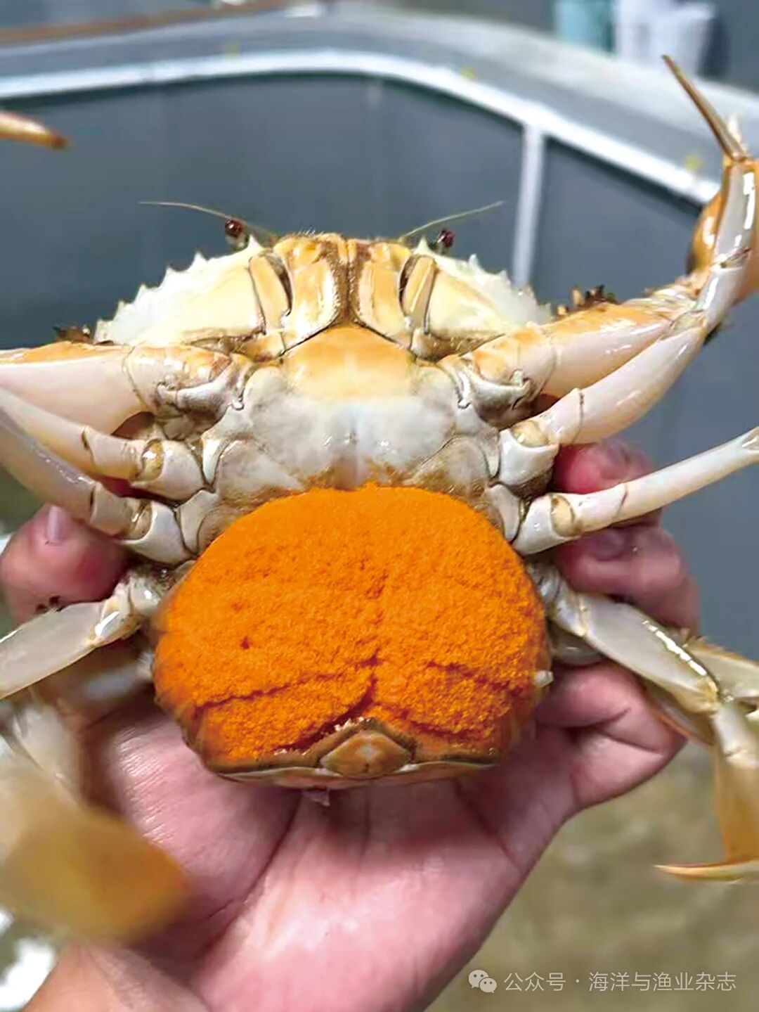 1760928555511774.jpg 2.jpg