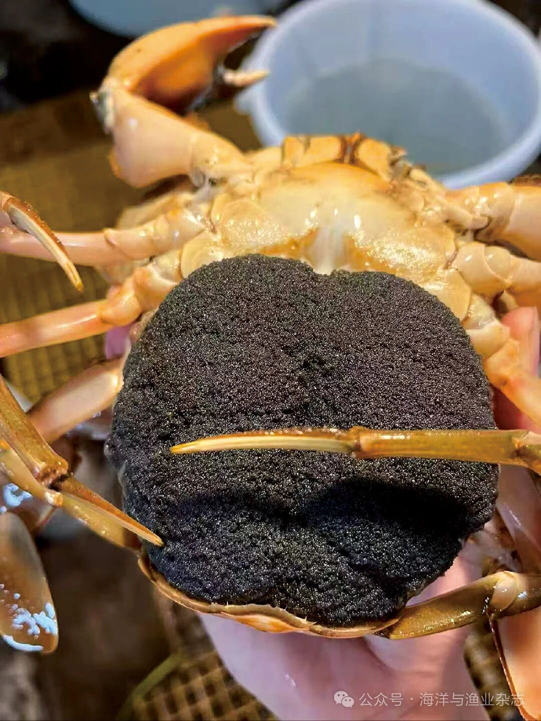 1760928665104849.jpg 3.jpg