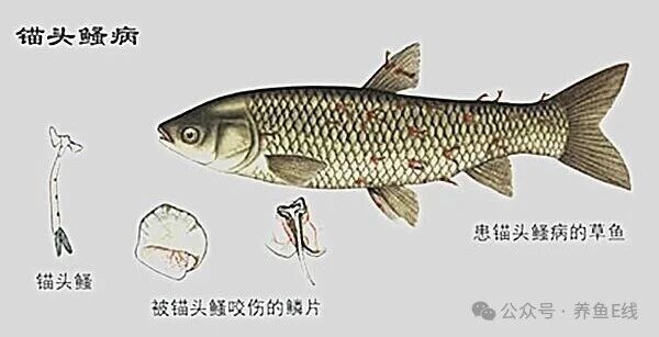 1760930191357413.jpg 1.jpg