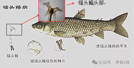 1760930252957796.png 4.png