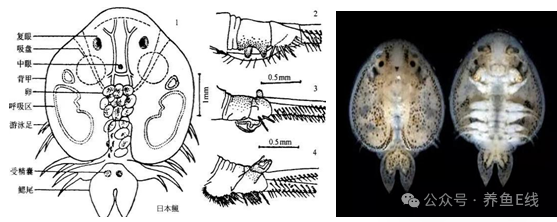 1760930285546519.png 5.png