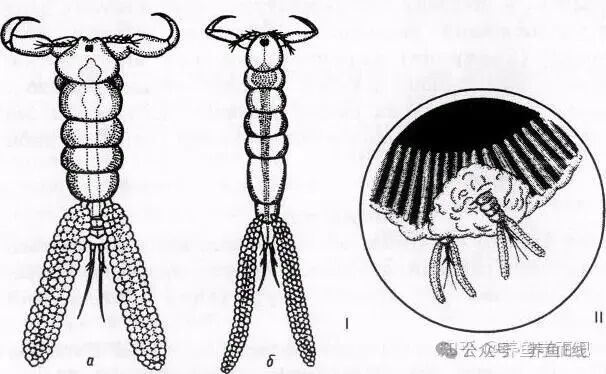 1760930399451668.jpg 9.jpg