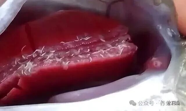 1760930413851801.jpg 10.jpg