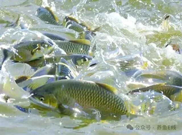 1761534670775676.jpg 1.jpg