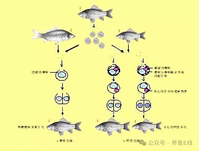 1761534685545820.jpg 2.jpg