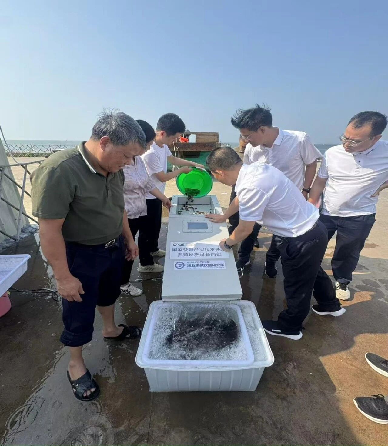 1761617999621063.jpg 2.jpg