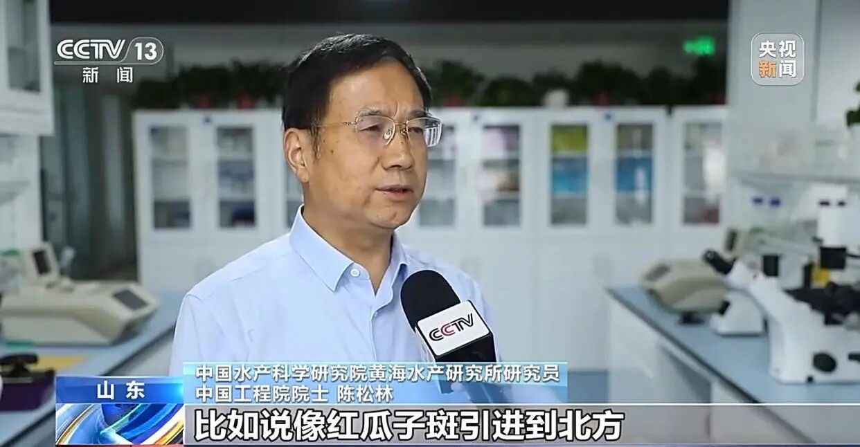 1761723241904524.jpg a79a282b157a6aeb0652c589486ea1a9.jpg