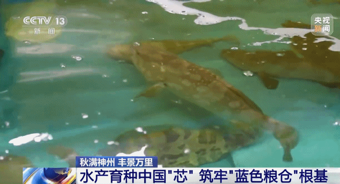 1761723259738248.jpg e8ad5a545222d6c927945aa4f8b773e8.jpg