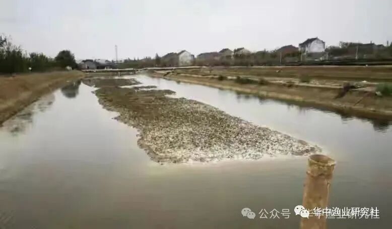 1761724759504702.jpg 7b191d023f78437ce8606c207778f64c.jpg