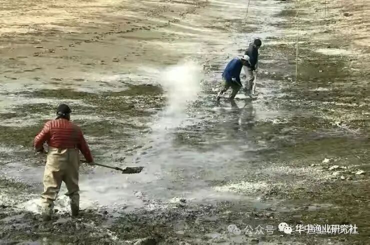 1761724802571309.jpg 3785634fec0e99317940ba364e260c4b.jpg