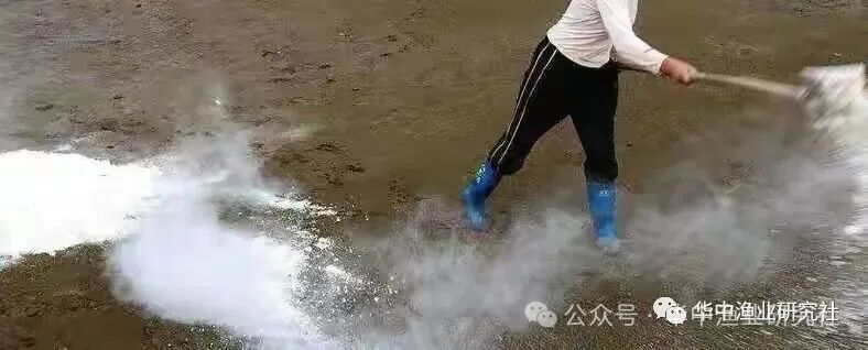 1761724823305365.jpg 576e5bef7cc02fc561d44a1314e0e37b.jpg