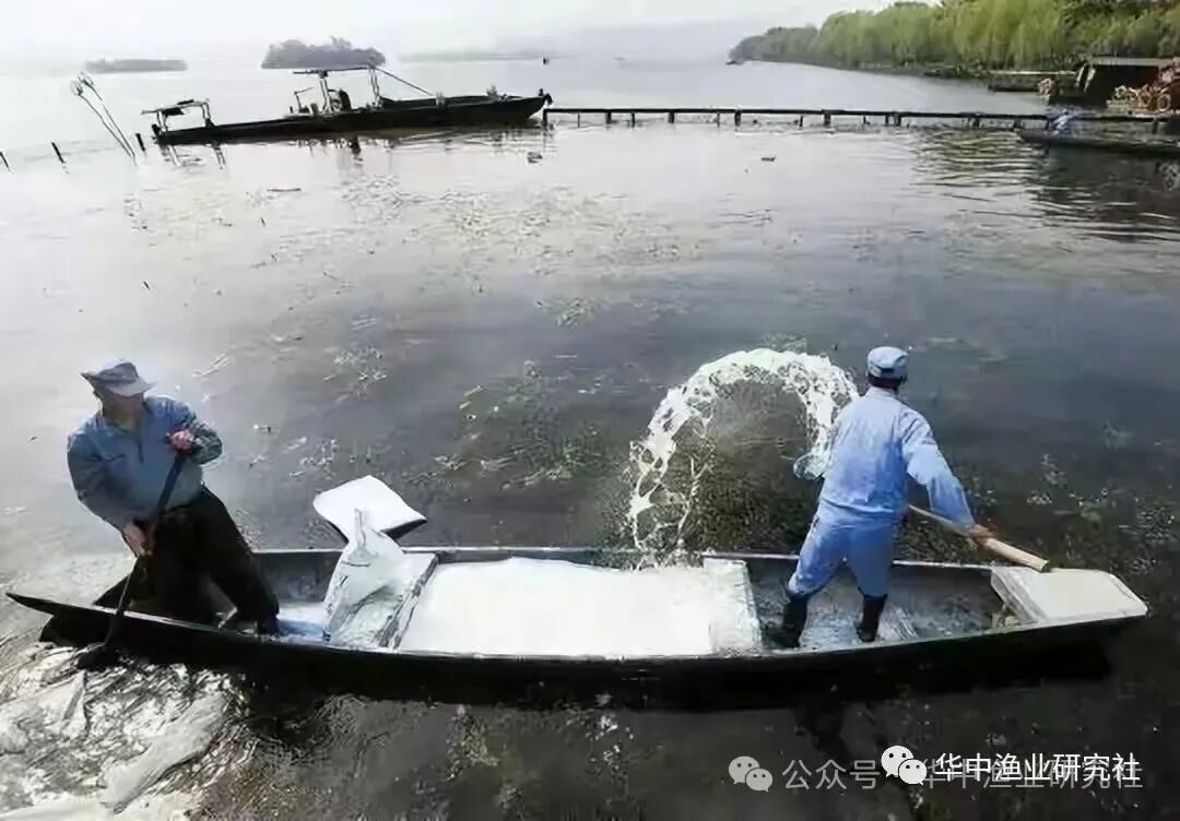 1761724854146902.jpg b981e6bf82c3bb06e860e984bcaea91a.jpg