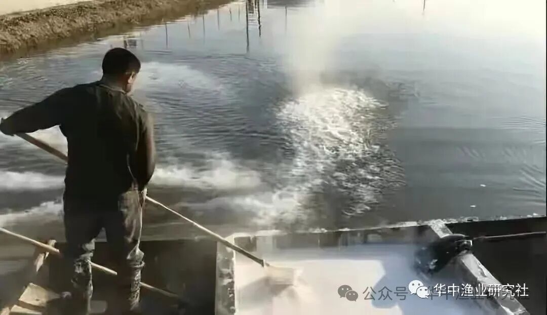 1761724887171387.jpg eed66566a790d3e298054873c8da0a02.jpg