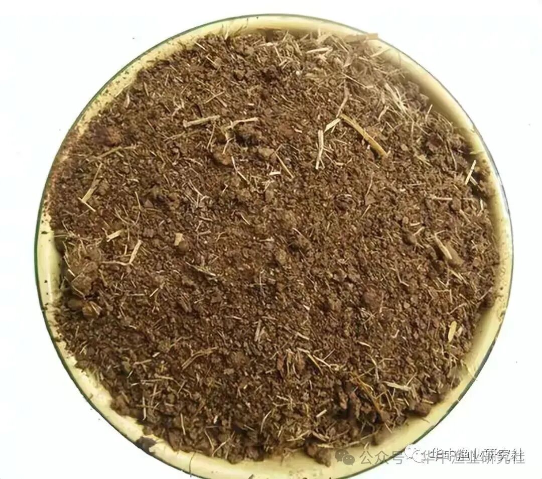 1761724919792705.jpg eba83bcd59e4506aada0fe6125df7e1a.jpg