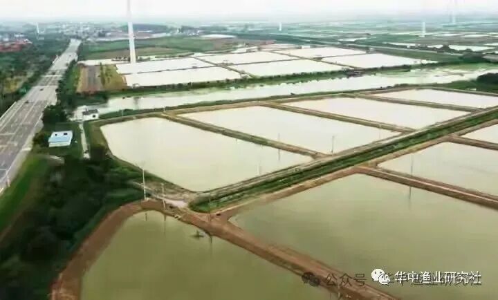 1761724967601486.jpg 2206d7f1081640691943321dbb08d3ee.jpg