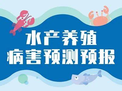 1761795828642157.jpg 111.jpg