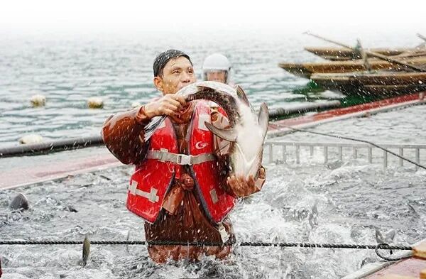 1762312761538469.jpg 24f044d3c70b0f840bb4d23bcfd42da0.jpg