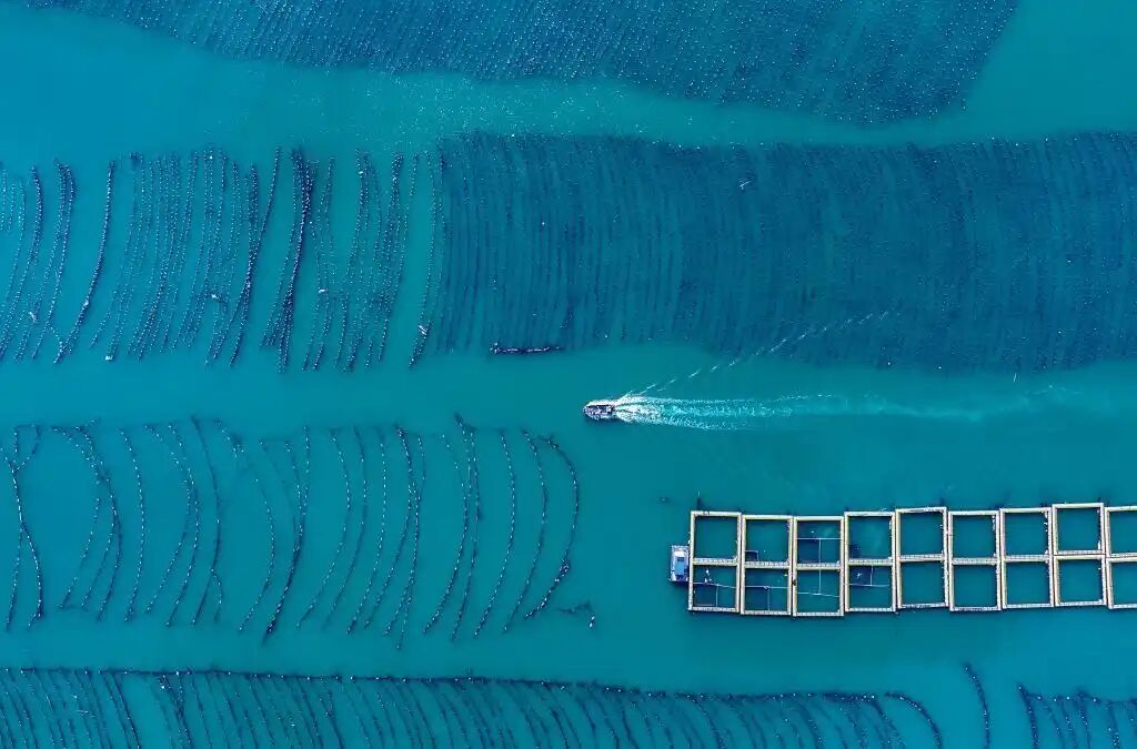 1762398874484181.jpg 3.jpg