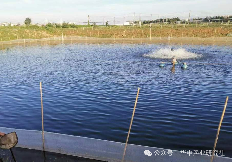 1762400036777558.png 1.png