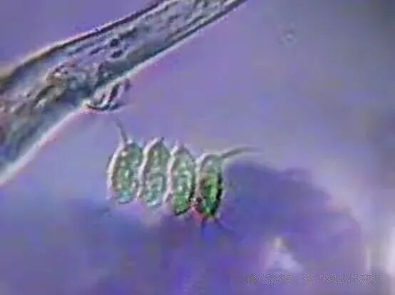 1762400234938365.jpg 10.jpg