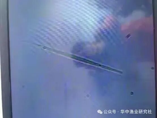 1762400518537058.jpg 19.jpg