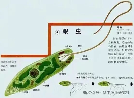 1762400625644906.jpg 23.jpg