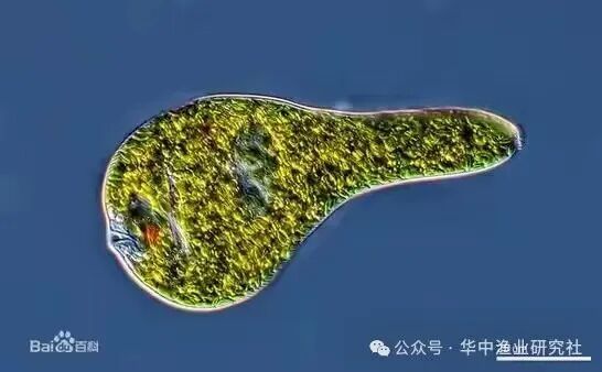 1762400635118687.jpg 24.jpg