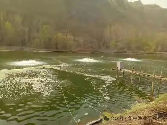 1762400743363791.jpg 29.jpg