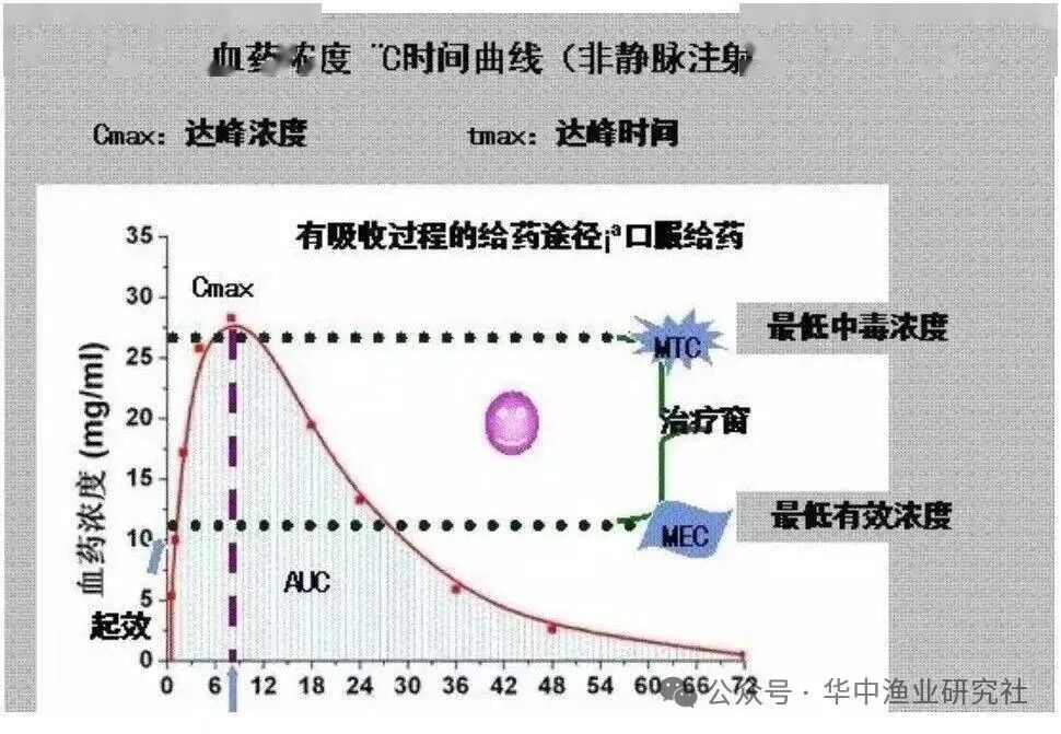 1762745571625875.jpg 2.jpg