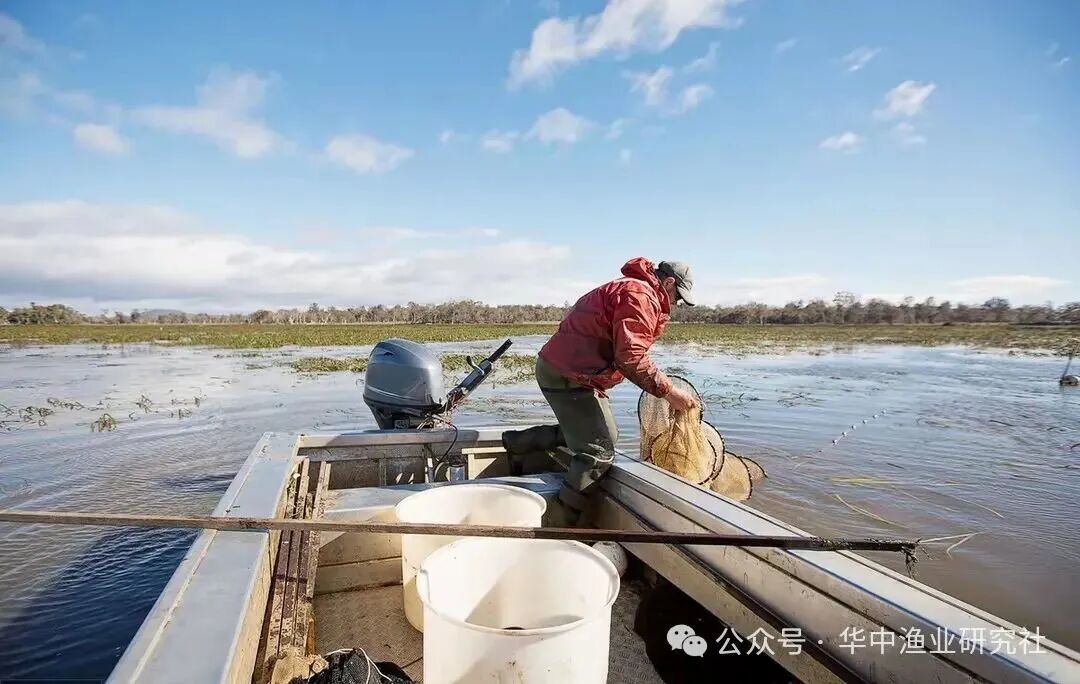 1762745610649998.jpg 4.jpg