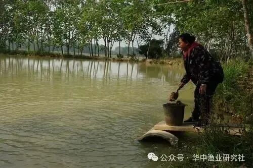 1762828637258036.jpg 6.jpg