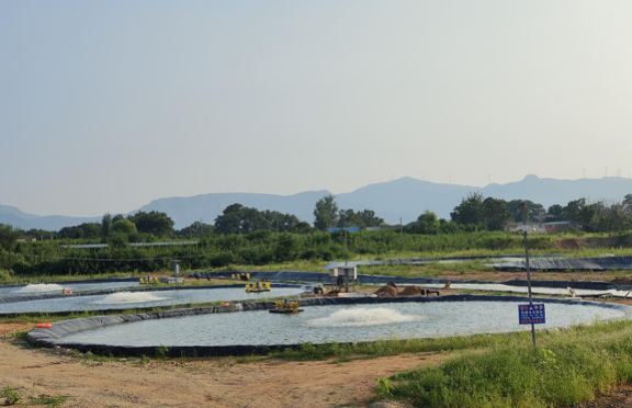 1762829667234653.png 14.png