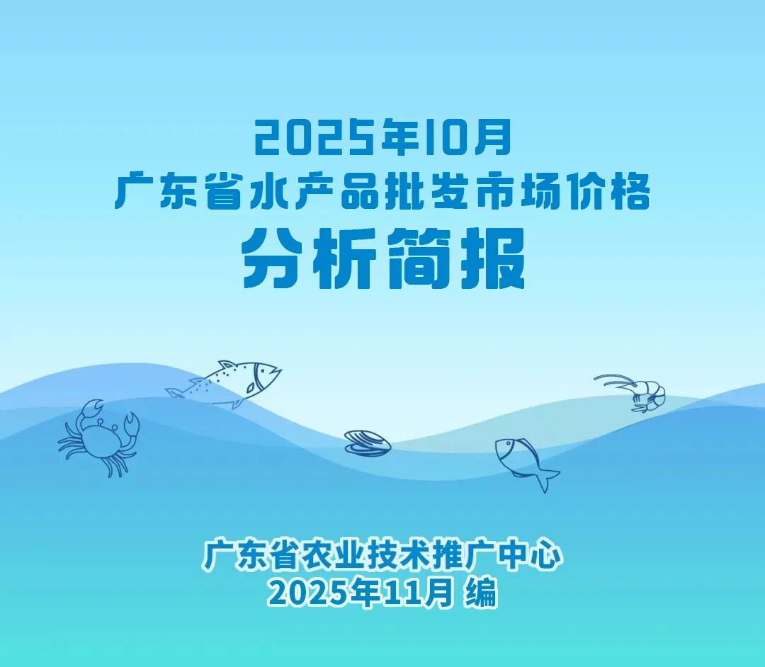 1762915723981678.jpg 1.jpg