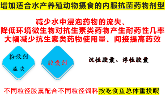 1762916725137451.png 8534d2962961cb8bfe25df8c5aa79e4f.png