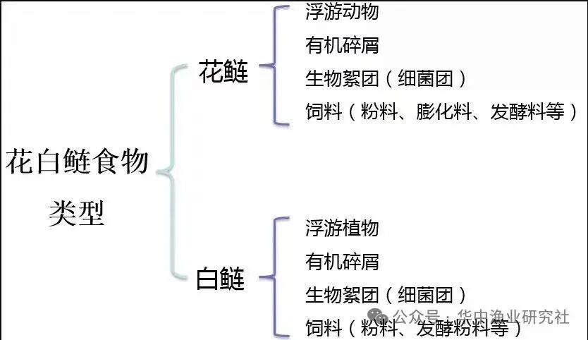 1762920294293151.jpg 04ab83bcf8292c672e3df37c13cb4e01.jpg