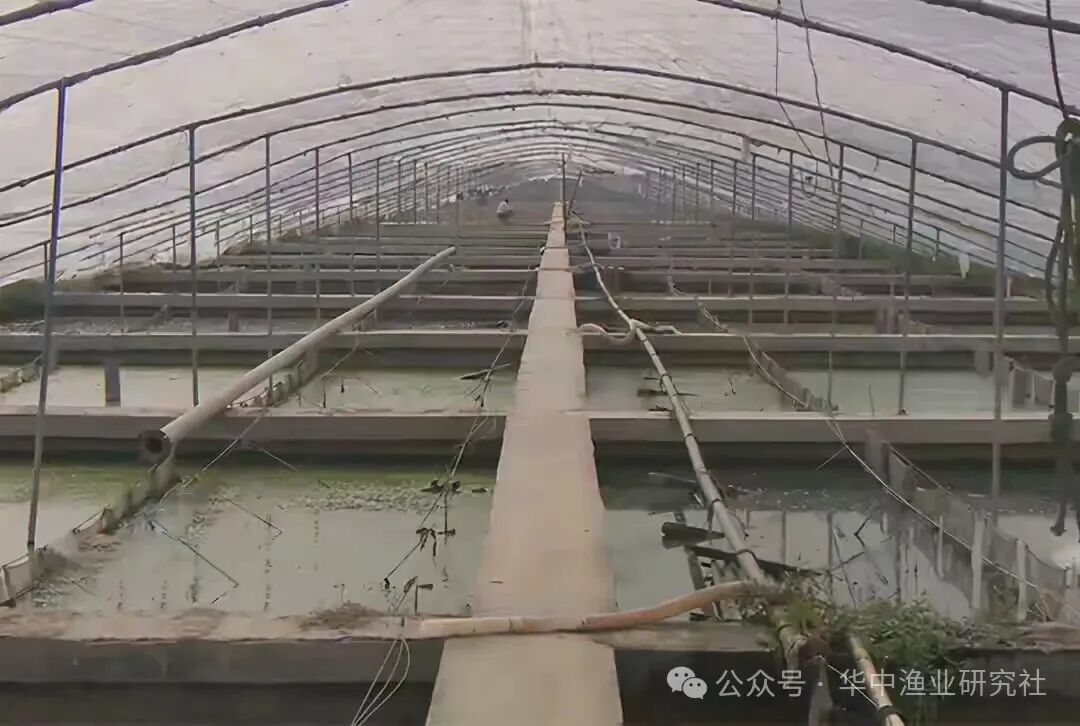 1763089970111699.jpg 1.jpg